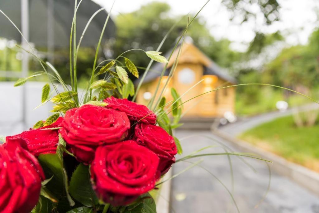 Chalet Vitaspa - Whirlpool & Sauna Privatspa 페그니츠 외부 사진
